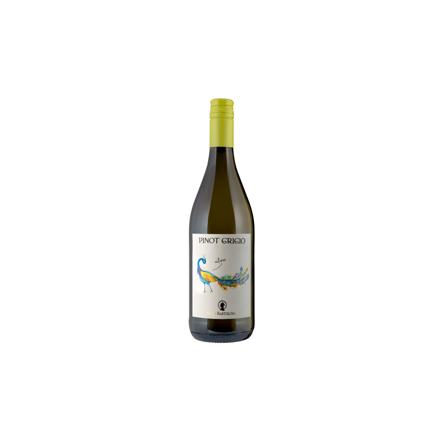 Pinot Grigio Delle Venezie DOC PAVONE