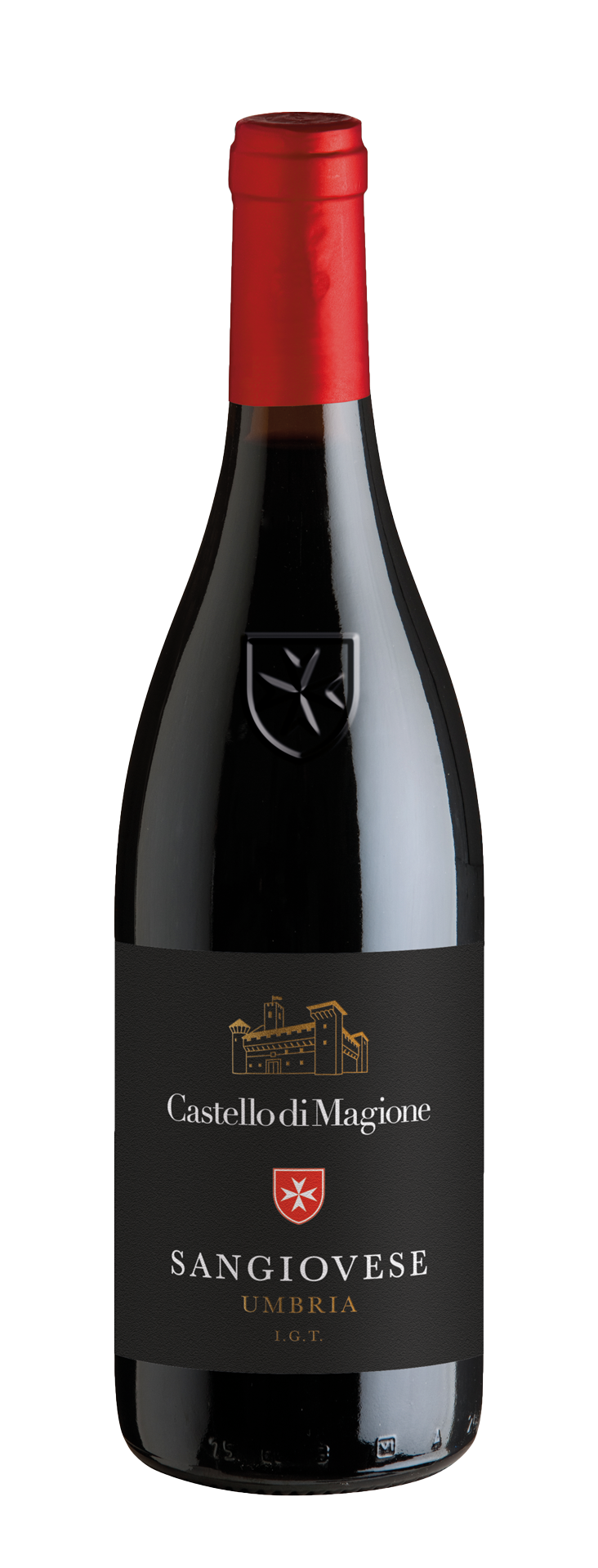 Castello di Magione San Giovese